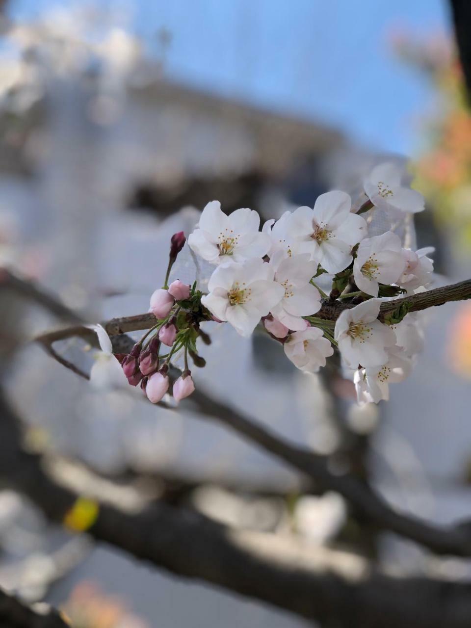 Rinn Heian Shirakawa Kyōto Esterno foto